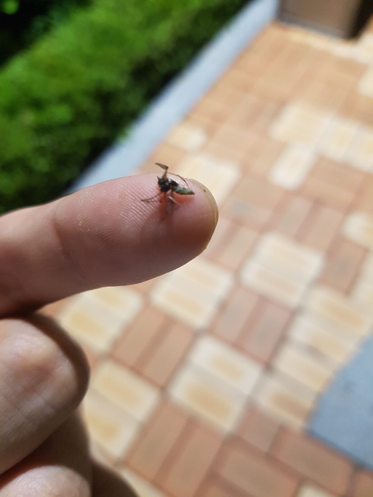 20190825_202104.jpg