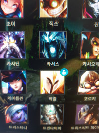 님들 케일 눈깔이 없어졌어요