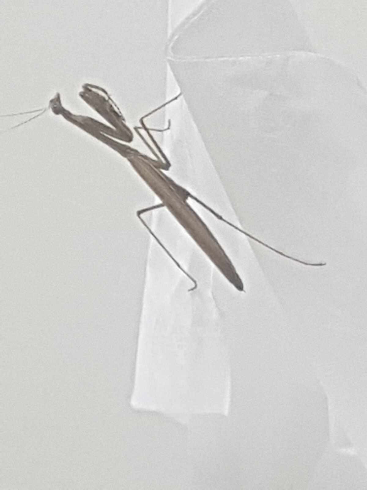 20190902_194323.jpg