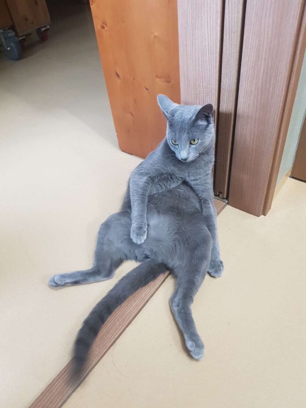 KakaoTalk_20180823_104440294.jpg