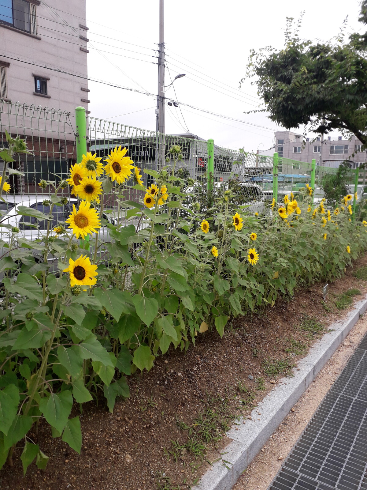 20190712_153214.jpg
