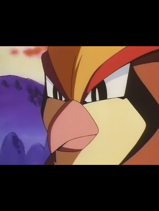 156174ba4f146c91a.png
