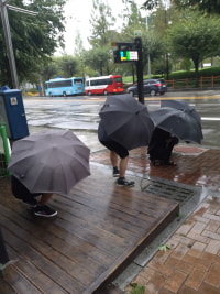 단일모드 판테온