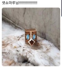 같이가요 셋쇼마루님!!