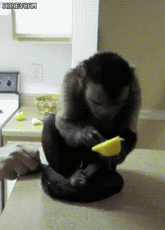 9902E4355D73DAAB103F41.gif