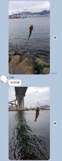 My dad went to Busan for the holiday and this is his current status.jpg