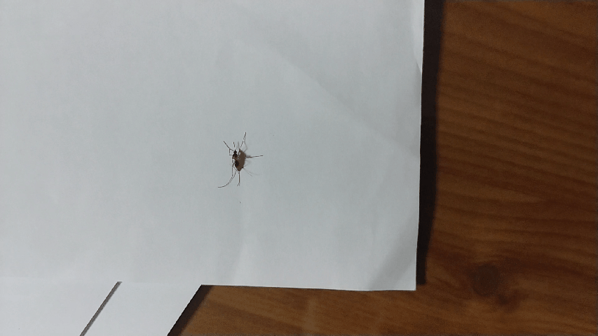 20190919_231322.gif