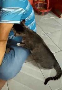 마침내 모발재배에 성공해.......머머리에게 희소식이(혐?)