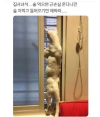 나도 냥트키 함만 써보자