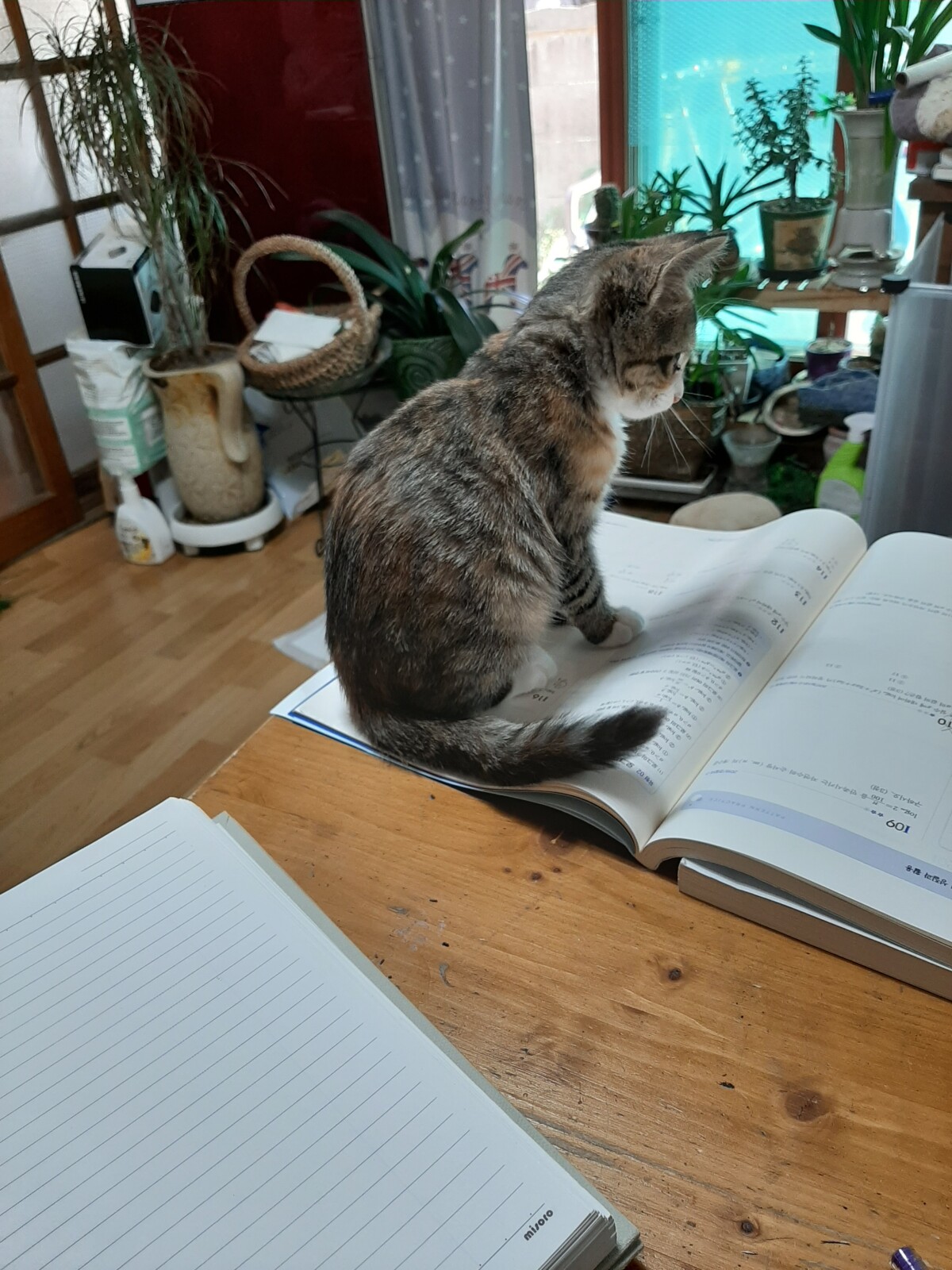 20191013_144809.jpg