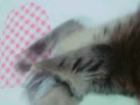 왤케 글들 화났어