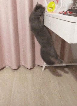 null-191b2f78e557e56a.gif