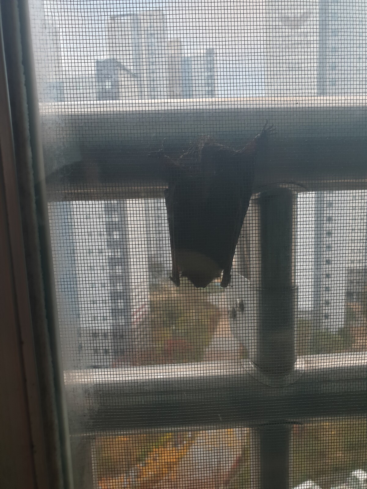20191111_072810.jpg