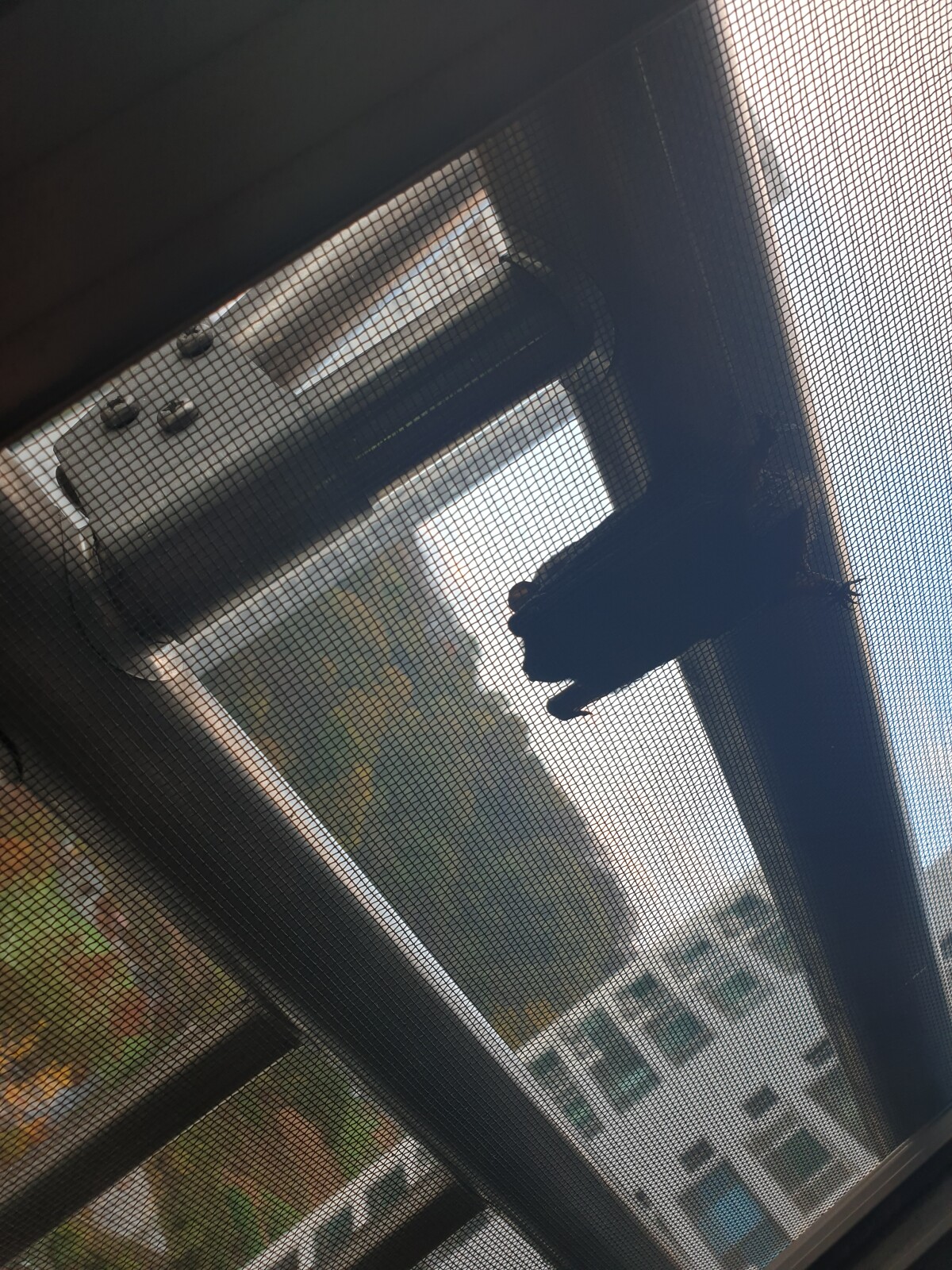 20191111_072822.jpg