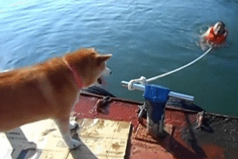 1431309851715.gif