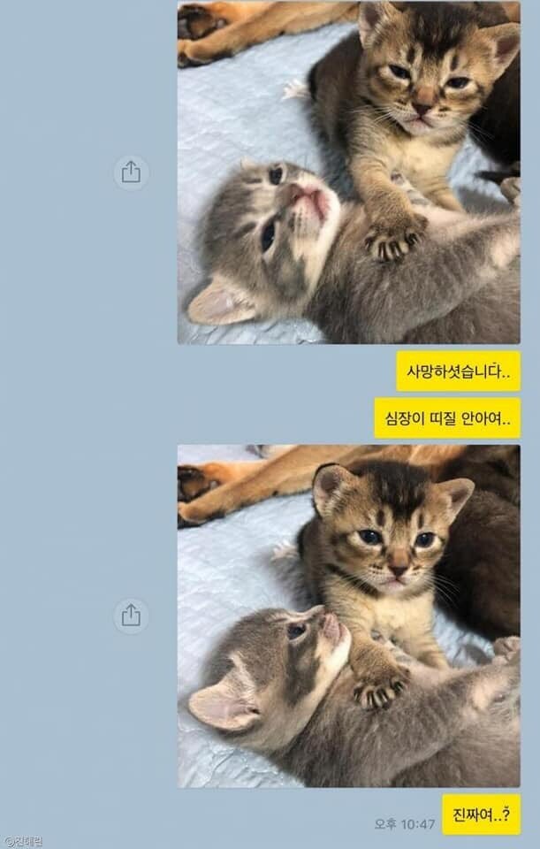 1575389604251.jpg
