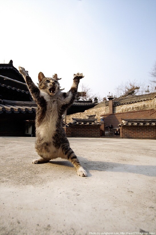 downloadfile-9.jpg