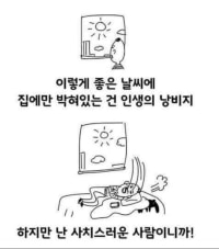 종강하면 머부터 하지