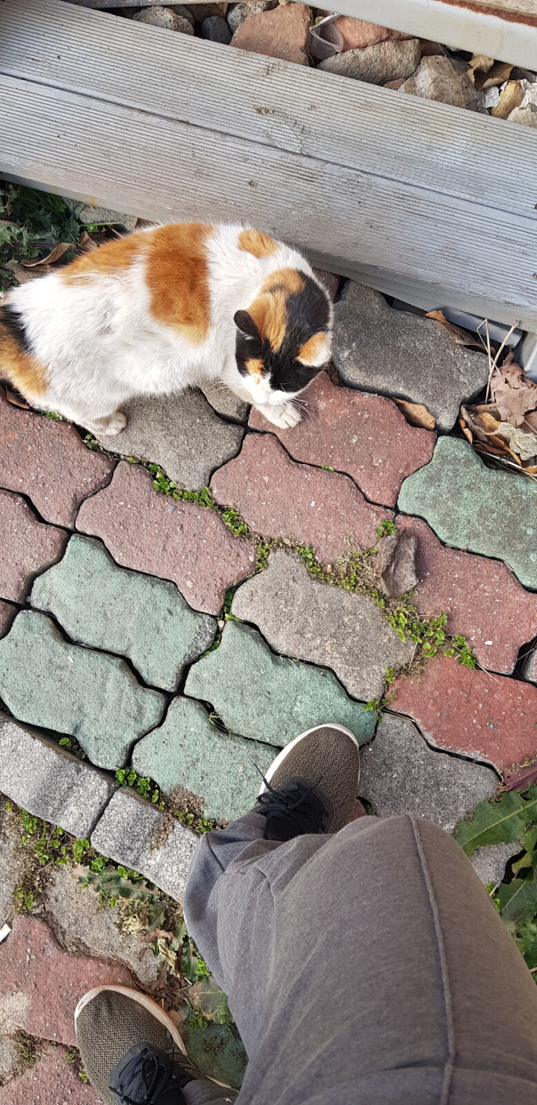20191214_154826.jpg
