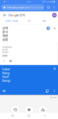 국뽕 펄~럭