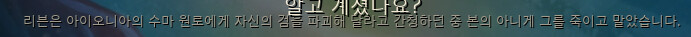 리븐의 실수.PNG