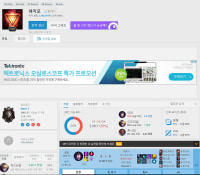 아이언의 브론즈 도전기 (승격전막판)