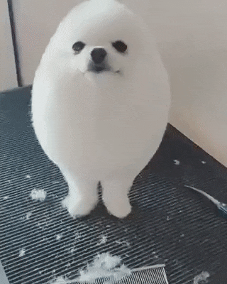 externalFile.gif
