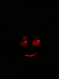 베스킨라빈스에서 산 미키마우스 이어폰을 밤에 보면 안되는이유