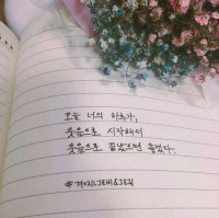 옵붕이들 모두 이번 한해동안 수고많았어!