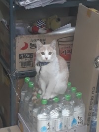 편의점에 왔는데...