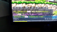 메이플 미쳤냐