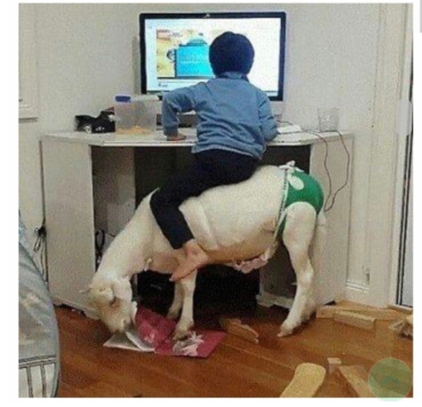 Screenshot_20200106-181437_Samsung Internet.jpg