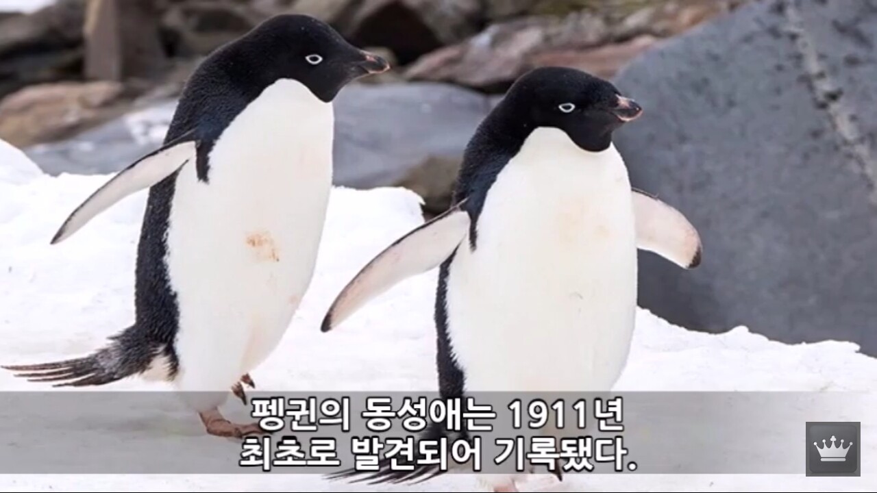 Screenshot_20200110-004340_YouTube.jpg