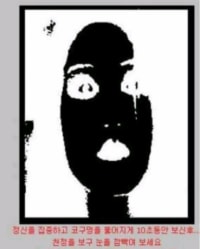 착시현상 레전드 ㄷㄷ