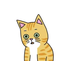 ??? : 쭈윱....쬬록.....쬬옵