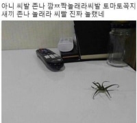 ㄷㄷ.. 거미 깜짝놀래라;;