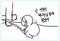 옵쥐 한번보니까