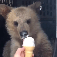 1529812316902.gif