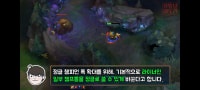What's going on with the jungle?