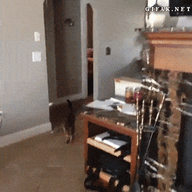 20181024_041021.gif