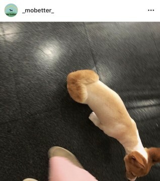 downloadfile-4.jpg
