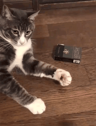 1570845960418.gif