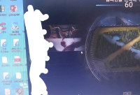 한팀에 리신이 두명?