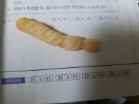 세상에서 제일 신기한 새우깡