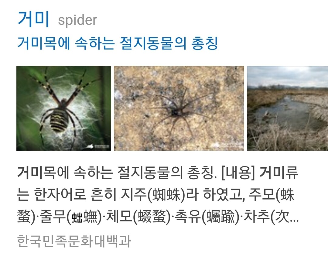 Screenshot_20200301-183746_NAVER.jpg