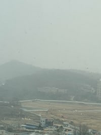 ㅁㅊ 지금 눈 오는데?