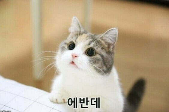 에반데.jpg