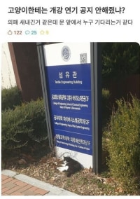 캔따개들이 오지 않는다... 왜일까.jpg