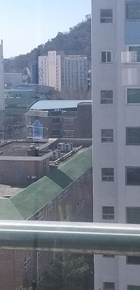 양심있음?