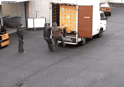 81db2d56-6f4a-4b98-b818-ad0ba2efc02b_20190325182311.gif